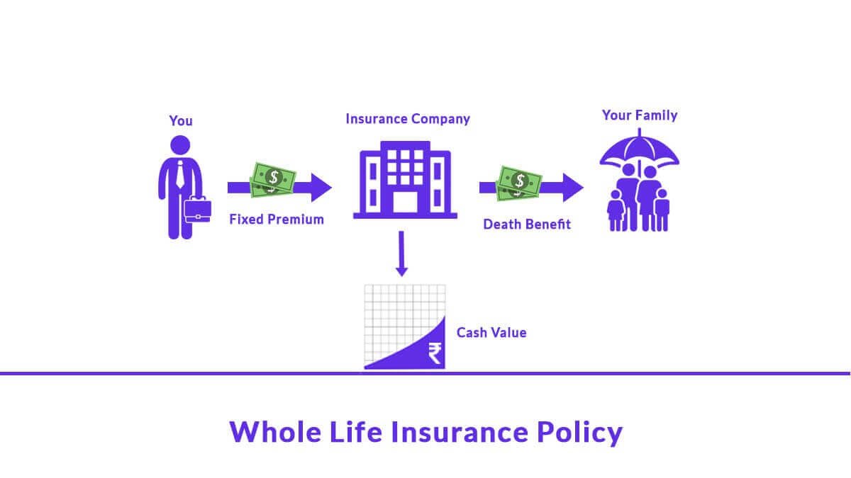 whole life insurance policy